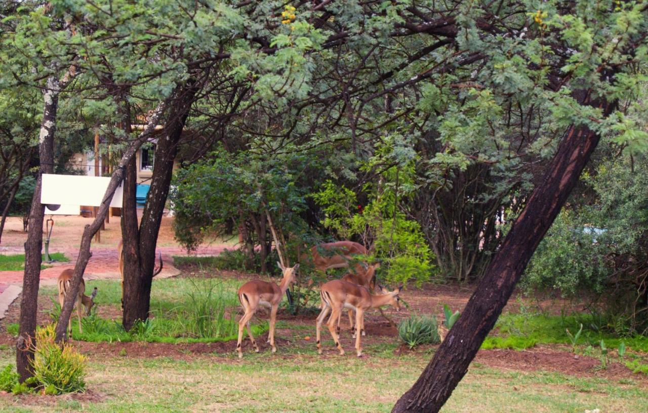 Suzie'S Loft - Nude - Suneden Family Naturist Resort Pretoria-Noord Eksteriør bilde